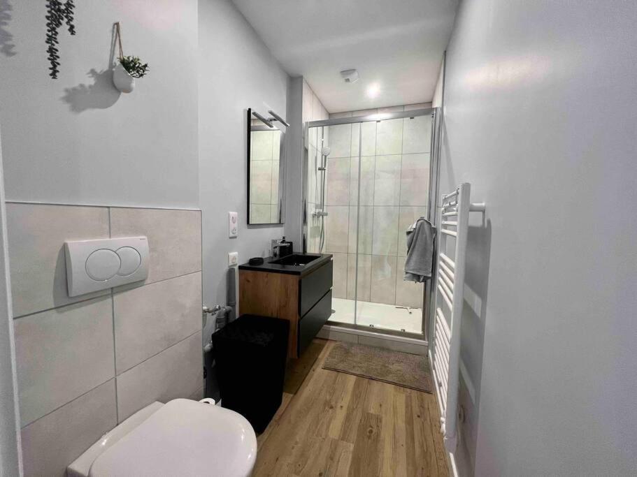 Appartement Climatise 4 Personnes / Centre-Ville Besançon Eksteriør billede